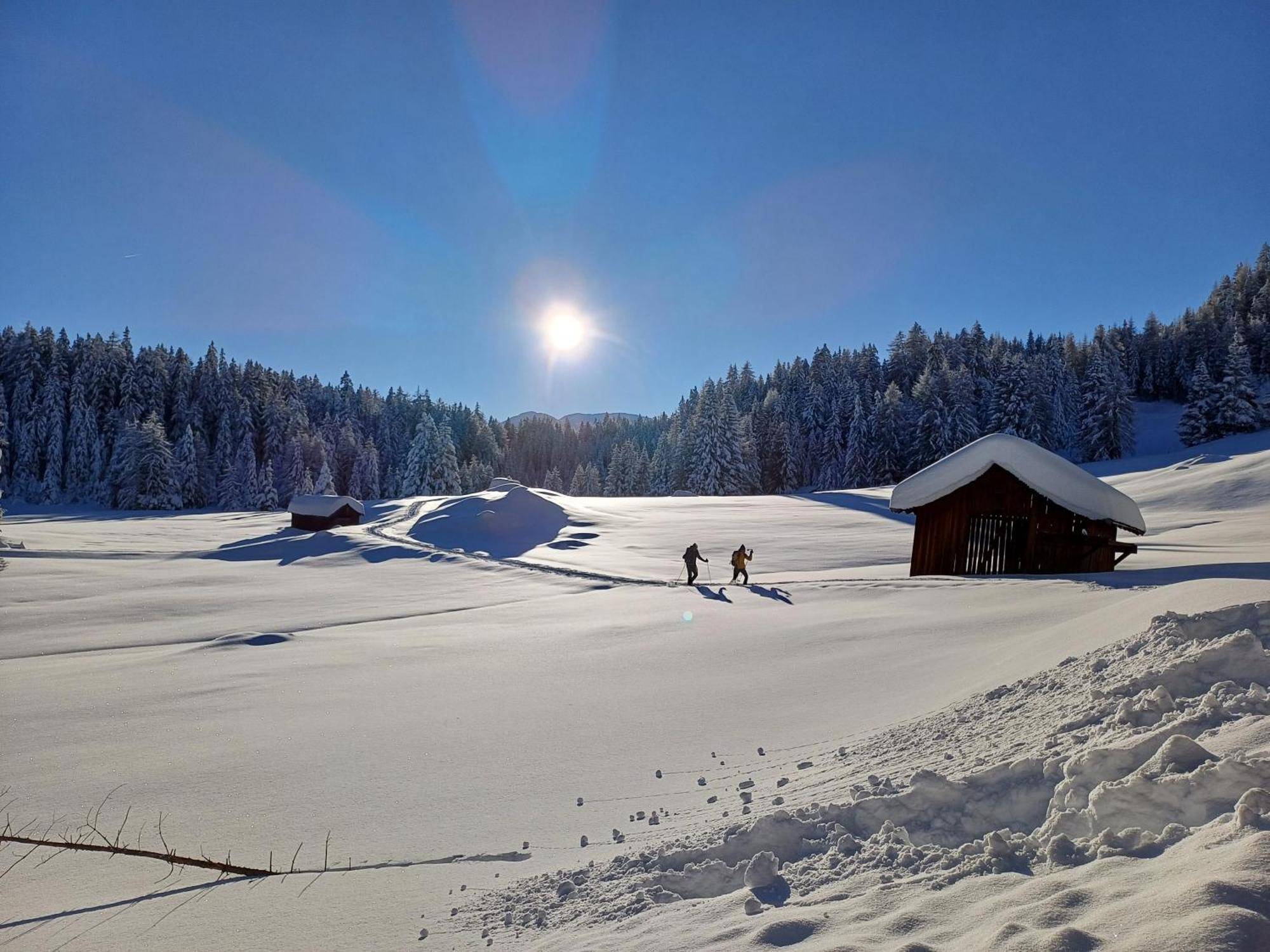 Neuner Charlotte Preise Inclusive Skidepot An Der Talstation Hochzeiger Wenns
